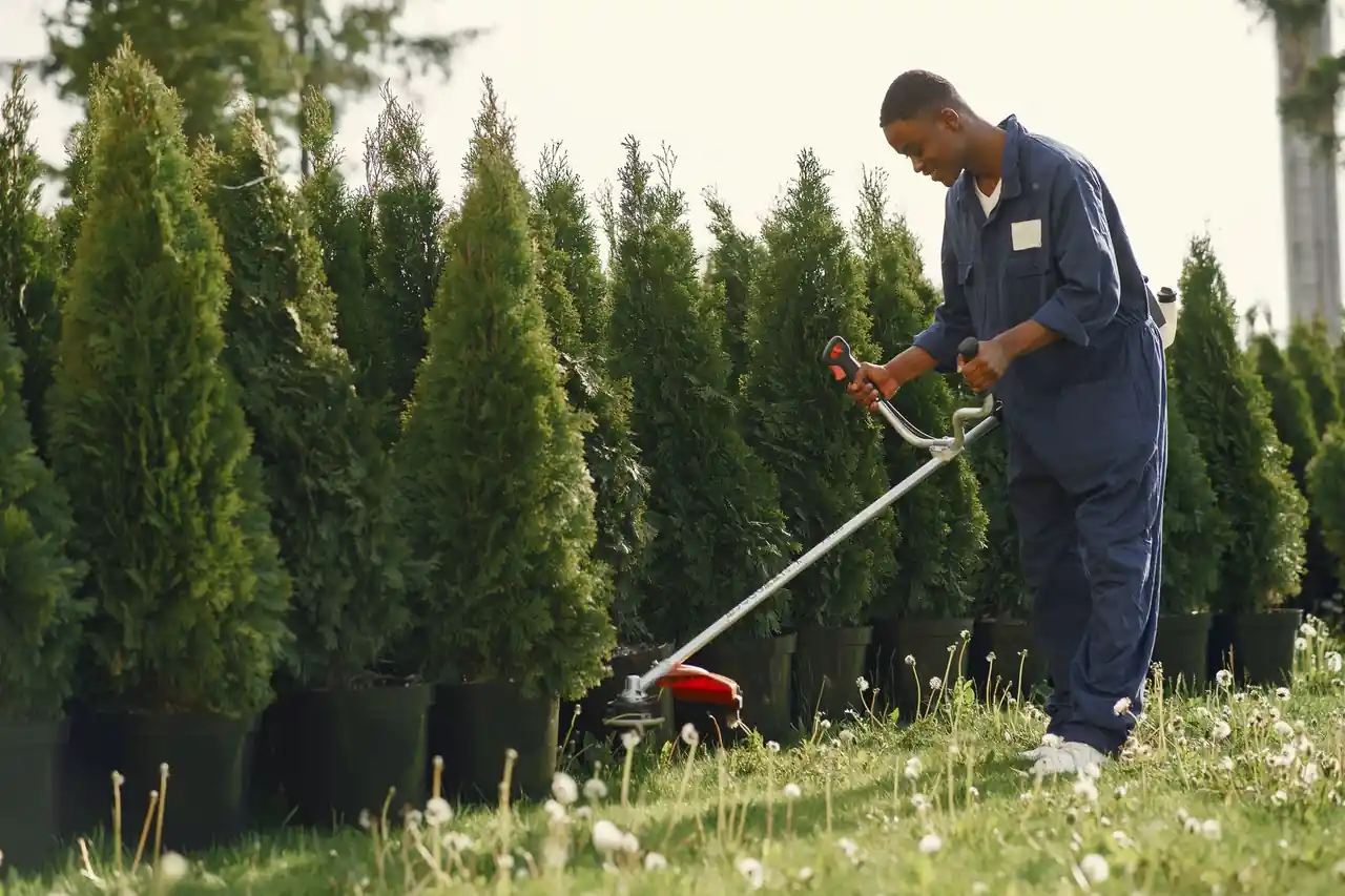 Dependable Tree Service across Metuchen, New Jersey