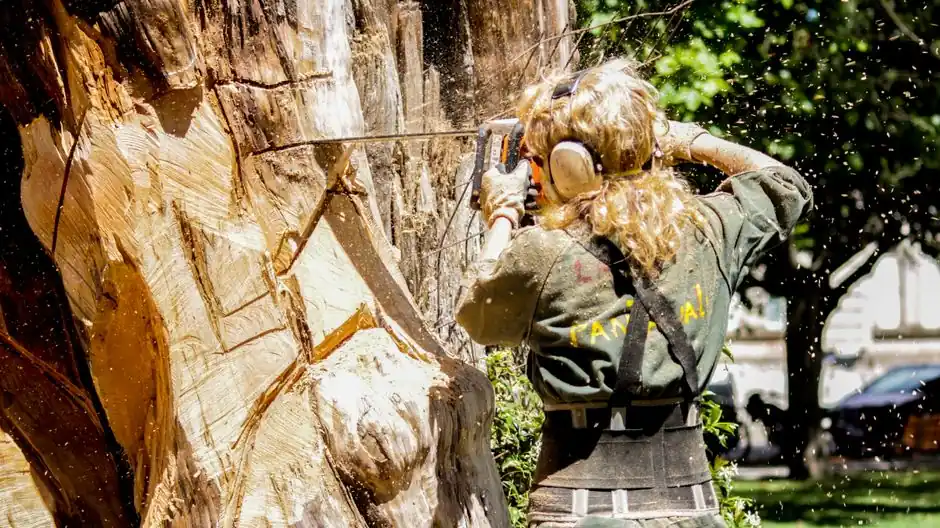 What every Metuchen homeowner should check before hiring a tree service pro